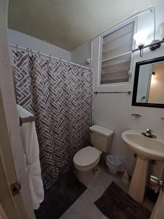 Family House Rain Forest And Beaches Pet Friendly Rio Grande Exterior photo